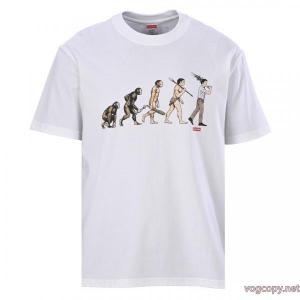 半袖Tシャツブランド 通販店控えめにしてヘルシーな印象 特価高品質 独特SUPREME